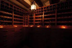 Wine Refrigeration - Crafting Elegance: Luxury Wine Cellars Transforming Austin, TX Homes